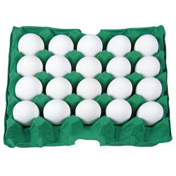 Ovos Brancos Pvc com 20un