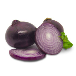 Cebola Roxa