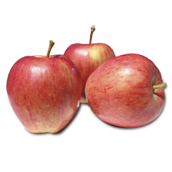 Maçã Gala