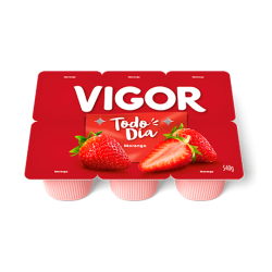 Bebica Láctea Vigor todo dia 540gr Moran