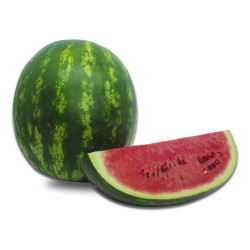 Melancia Comum