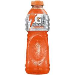 Gatorade Pet 500ml Frutas Citricas