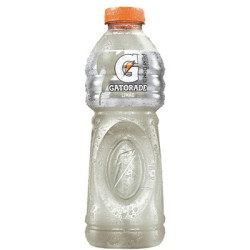 Gatorade Pet 500ml Limao