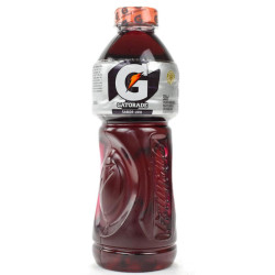 Gatorade Pet 500ml Uva