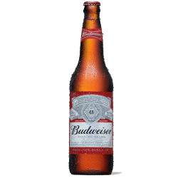 Cerveja 600ml Budweiser