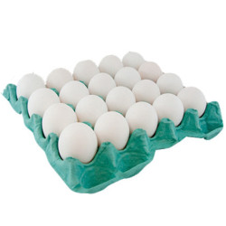 Ovos Brancos Pvc com 20un Coag Grande