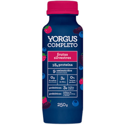 Iogurte Yorgus Completo 250g Frutas Silv