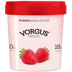 Iogurte Yorgus Grego Zero Lactose 500g M
