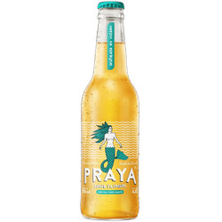 Cerveja Ln 355ml Praya Lager