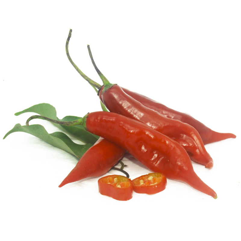 Pimenta Dedo de Moça