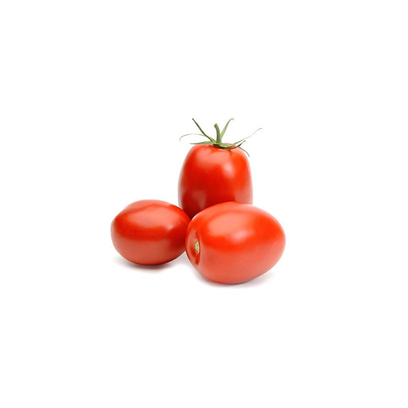 Tomate Rasteiro Kg