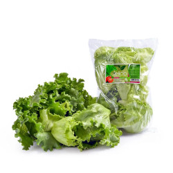 Alface Felicio 150gr