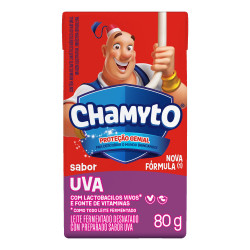 Leite Fermentado Chamyto Box 80G Uva