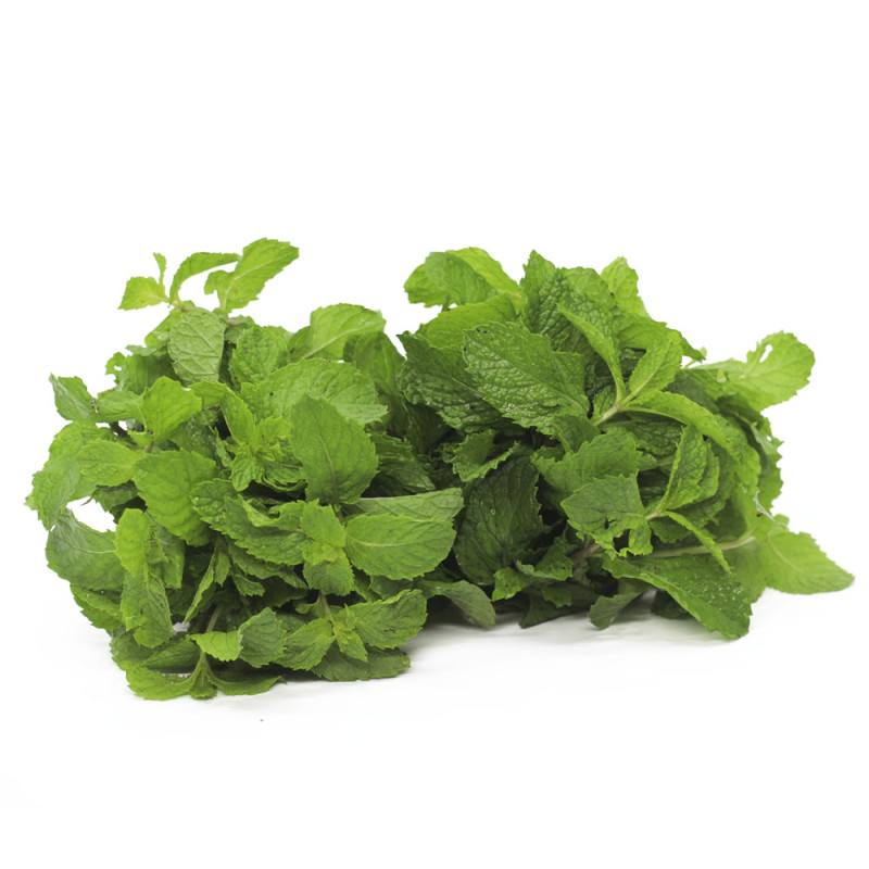 Hortelã Maço