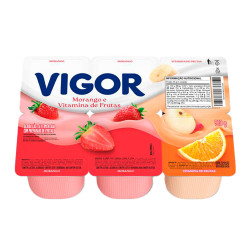 Bebida Láctea Polpa Vigor Todo Dia 510g 