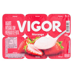 Bebida Láctea Polpa Vigor Todo Dia 510g 