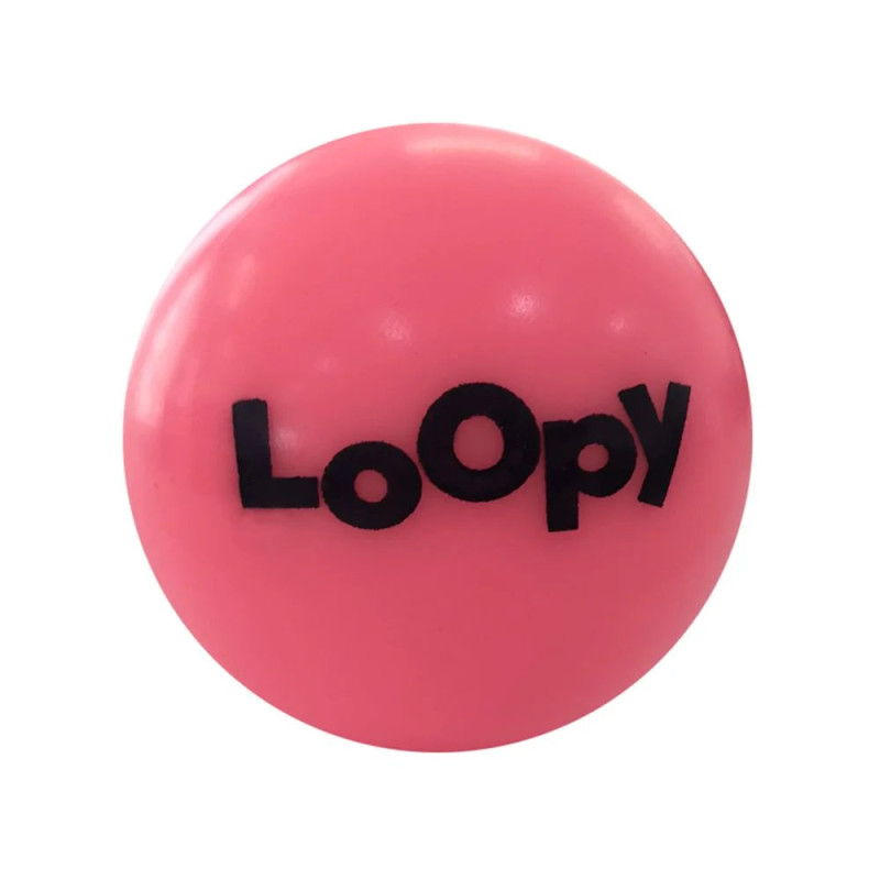 Bolinha Pet Loopy Dog Fun Lisa