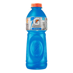 Hidrotonico Pet 500ML Gatorade Berry Blu